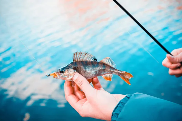 Fiske Fiskare Och Fisk — Stockfoto