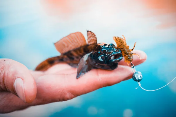 Pesca Pescatore Pesce — Foto Stock