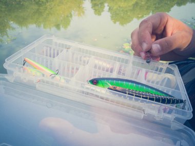 bir kutuiçinde balık için yem