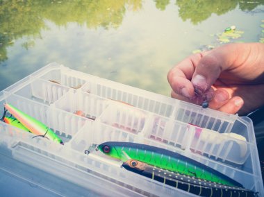 bir kutuiçinde balık için yem