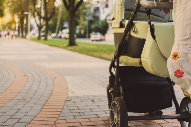 bir yürüyüşte bir bebek arabası ile anne