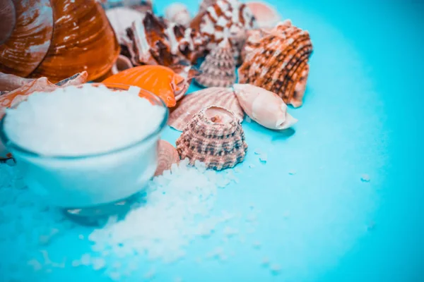 Conchas y fondo de sal marina — Foto de Stock