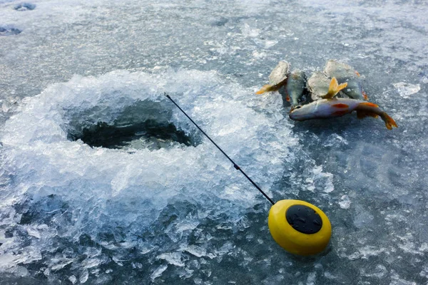 Ledový rybolov na jezeře — Stock fotografie