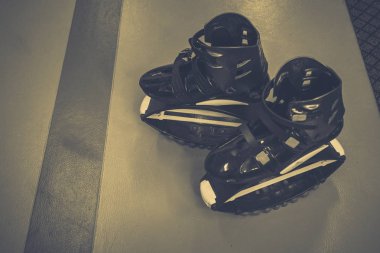 kangoo botları yakından atlar