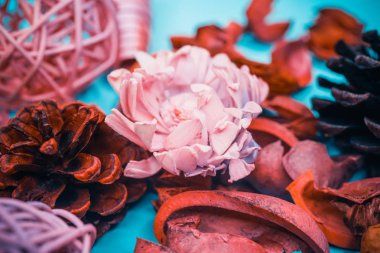 Dekoratif spa elemanları arka plan