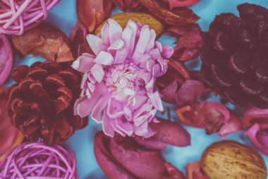 Dekoratif spa elemanları arka plan