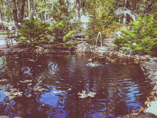 Stagno con una fontana — Foto Stock