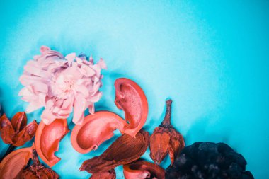 Dekoratif spa elemanları arka plan