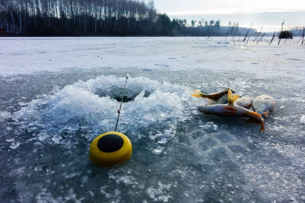 冬季冰钓嗜好 — 图库照片