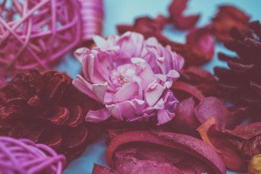 Dekoratif spa elemanları arka plan