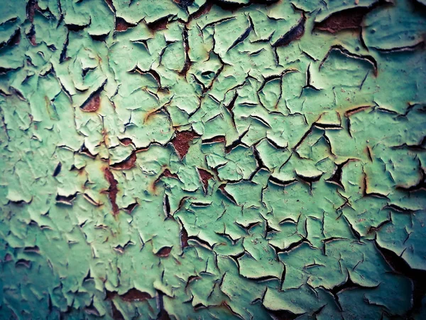 Old shabby green paint — Stock Photo, Image