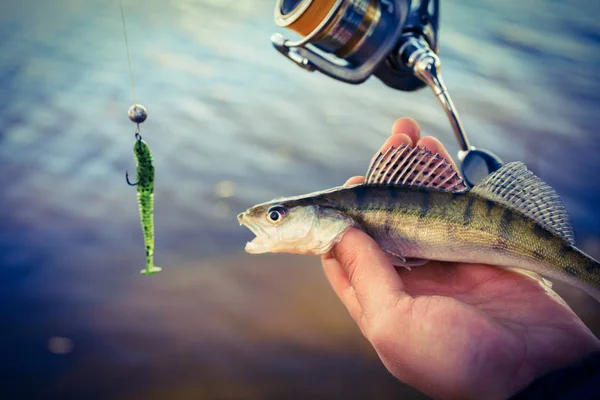 Fishing. Fisherman and fish — Stock Photo, Image