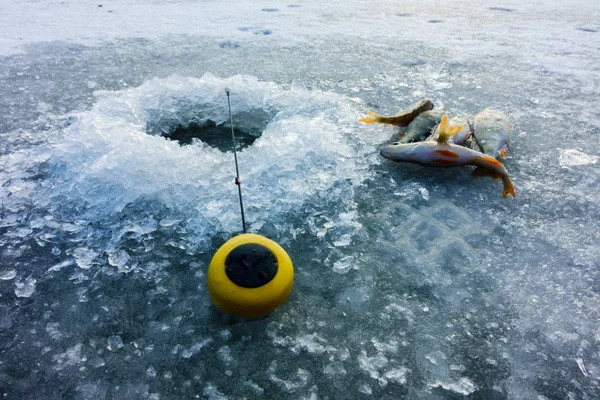 Pesca no gelo no lago — Fotografia de Stock