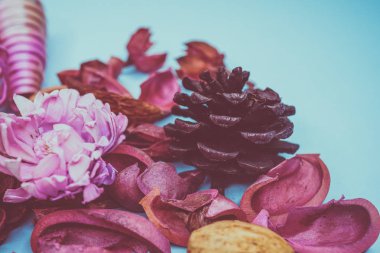 Dekoratif spa elemanları arka plan