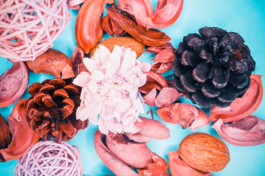 Dekoratif spa elemanları arka plan