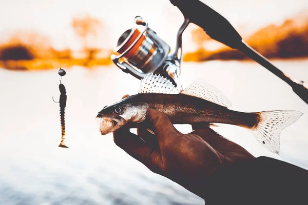 Fishing. Fisherman and fish — Stock Photo, Image