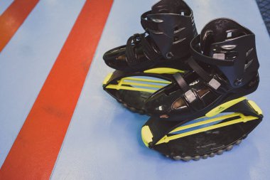 kangoo botları yakından atlar