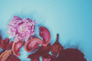 Dekoratif spa elemanları arka plan