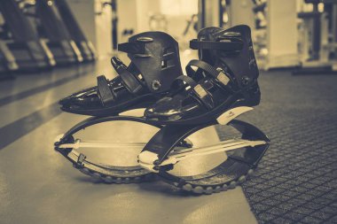 kangoo botları yakından atlar