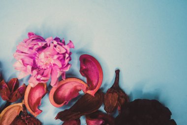 Dekoratif spa elemanları arka plan