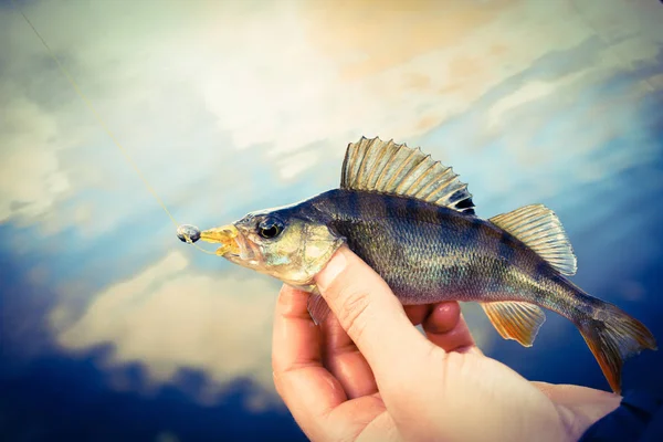 Balık tutma. Balıkçı ve balık — Stok fotoğraf