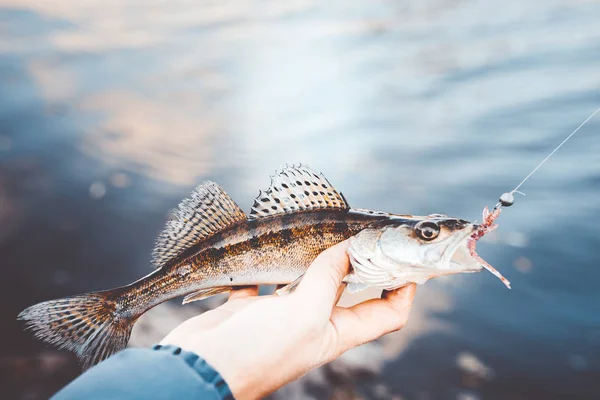 Fishing. Fisherman and fish — Stock Photo, Image