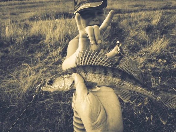 Ulovených ryb v ruce na jezeře — Stock fotografie