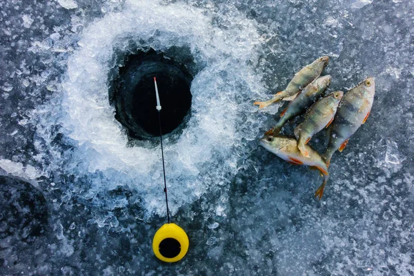 Pesca no gelo no lago — Fotografia de Stock