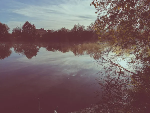 Schöner Teich — Stockfoto