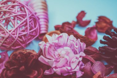 Dekoratif spa elemanları arka plan