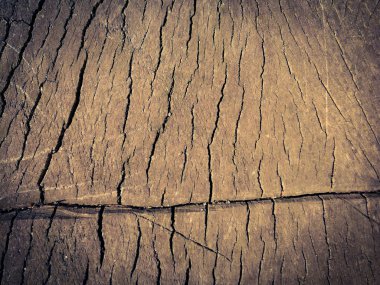 ahşap doku arka plan kesmek