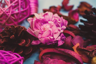 Dekoratif spa elemanları arka plan