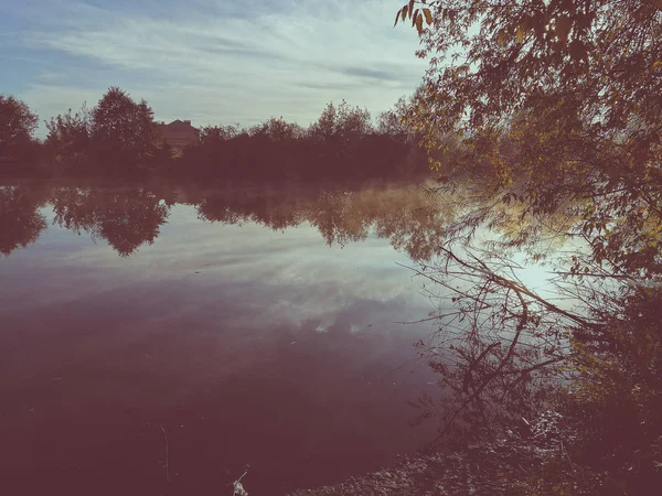 Piękny staw — Zdjęcie stockowe