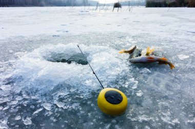Buz balıkçılığı hobisi 