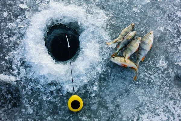 Pesca no gelo no lago — Fotografia de Stock