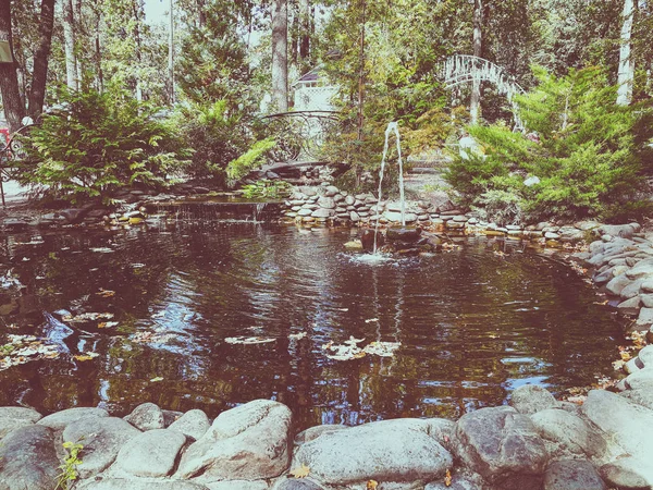 Gölet bir çeşme ile — Stok fotoğraf