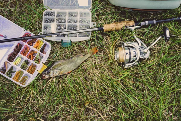 Conceito Pesca Atacar Vara Pesca Peixe Grama — Fotografia de Stock