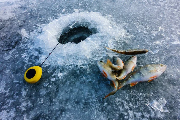 Pesca no gelo no lago — Fotografia de Stock