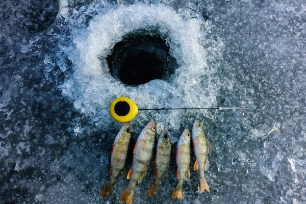 Winter Ice Fishing Hobby — 스톡 사진