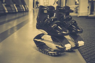 kangoo botları yakından atlar