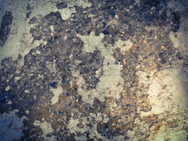 yosun ile eski kırık çimento