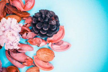 Dekoratif spa elemanları arka plan