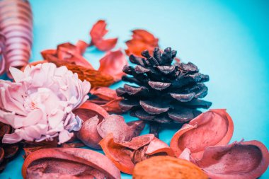 Dekoratif spa elemanları arka plan