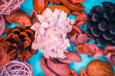 Dekoratif spa elemanları arka plan