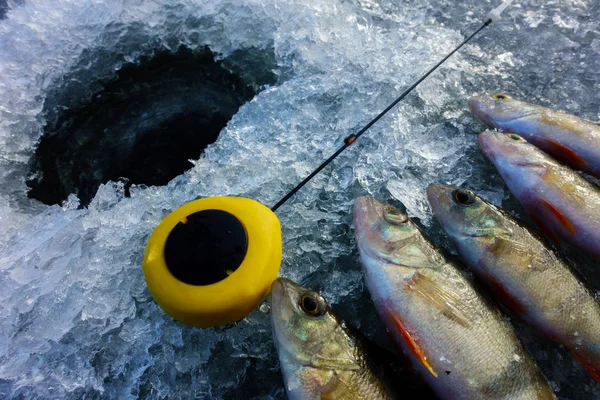 Pêche sur la glace sur le lac — Photo