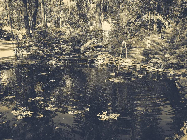 Étang Avec Une Fontaine — Photo