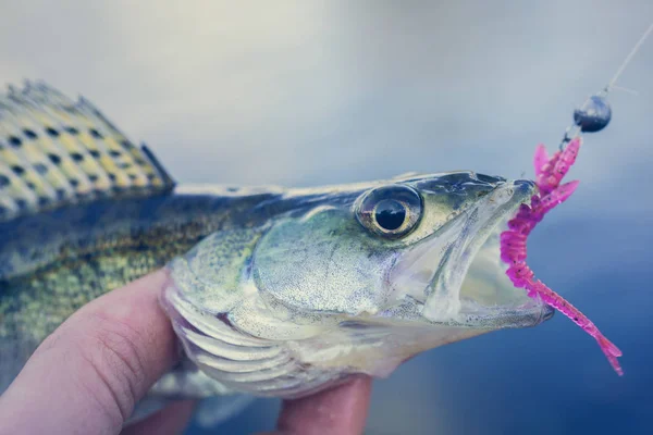 Fishing. Fisherman and fish — Stock Photo, Image