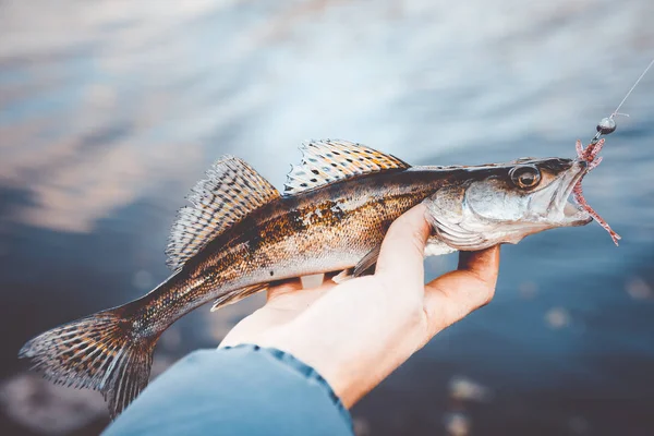 Pesca. Pescatore e pesce — Foto Stock