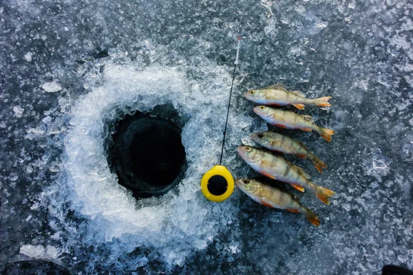 Pêche sur la glace sur le lac — Photo