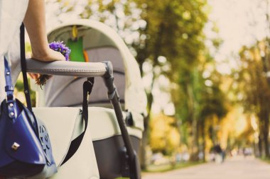 bir yürüyüşte bir bebek arabası ile anne